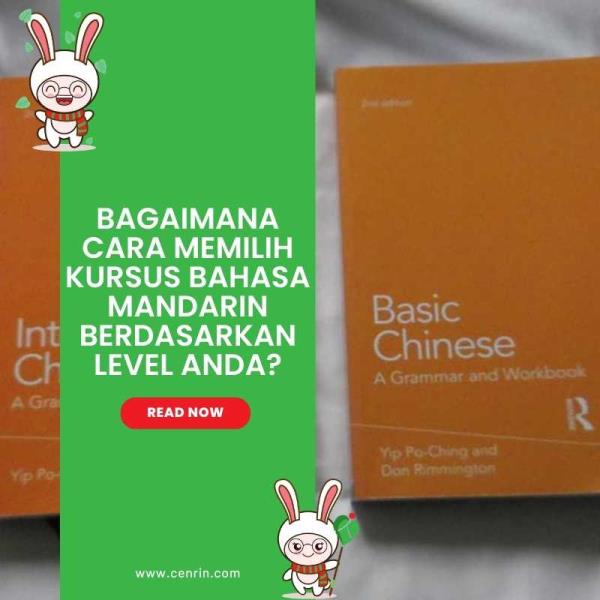 Bagaimana Cara Memilih Kursus Bahasa Mandarin Berdasarkan Level Anda?