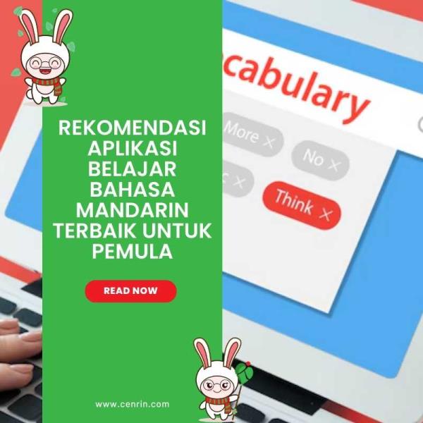 Rekomendasi Aplikasi Belajar Bahasa Mandarin Terbaik untuk Pemula