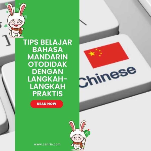 Tips Belajar Bahasa Mandarin Otodidak dengan Langkah-langkah Praktis