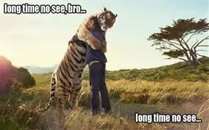 Percakapan Mandarin Pembuka Ketika Lama Tidak Jumpa