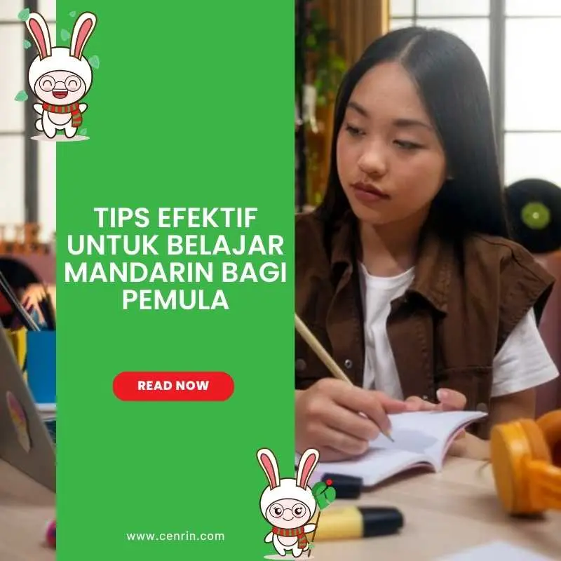Tips Efektif untuk Belajar Mandarin Bagi Pemula
