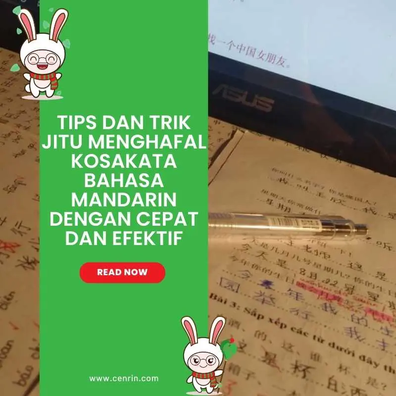 Tips dan Trik Jitu Menghafal Kosakata Bahasa Mandarin dengan Cepat dan Efektif