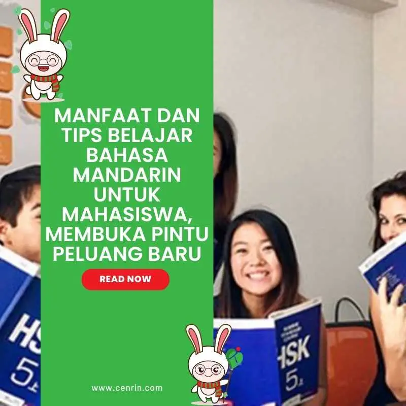 Manfaat dan Tips Belajar Bahasa Mandarin untuk Mahasiswa, Membuka Pintu Peluang Baru