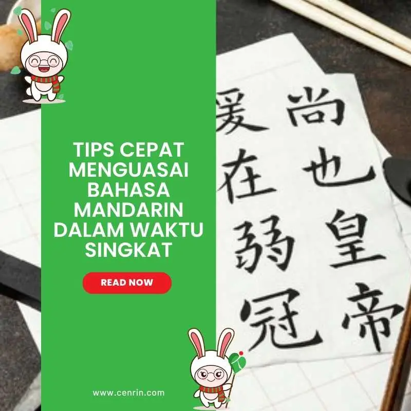 Tips Cepat Menguasai Bahasa Mandarin dalam Waktu Singkat