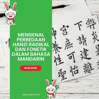 Mengenal Perbedaan Hanzi Radikal dan Fonetik dalam Bahasa Mandarin