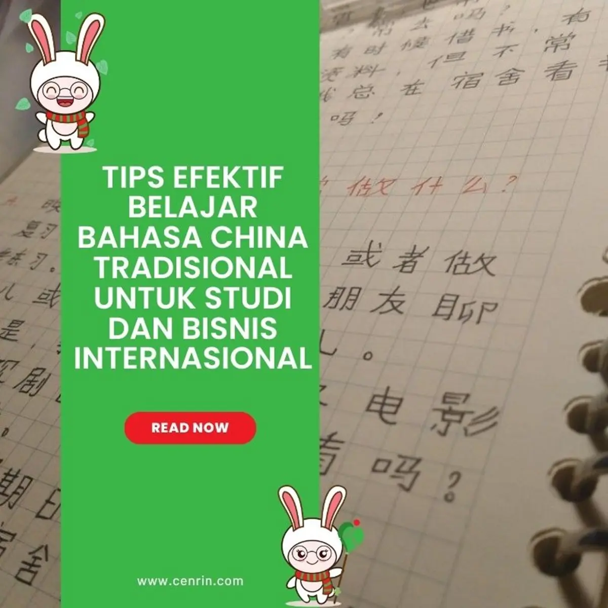 Tips Efektif Belajar Bahasa China Tradisional untuk Studi dan Bisnis Internasional