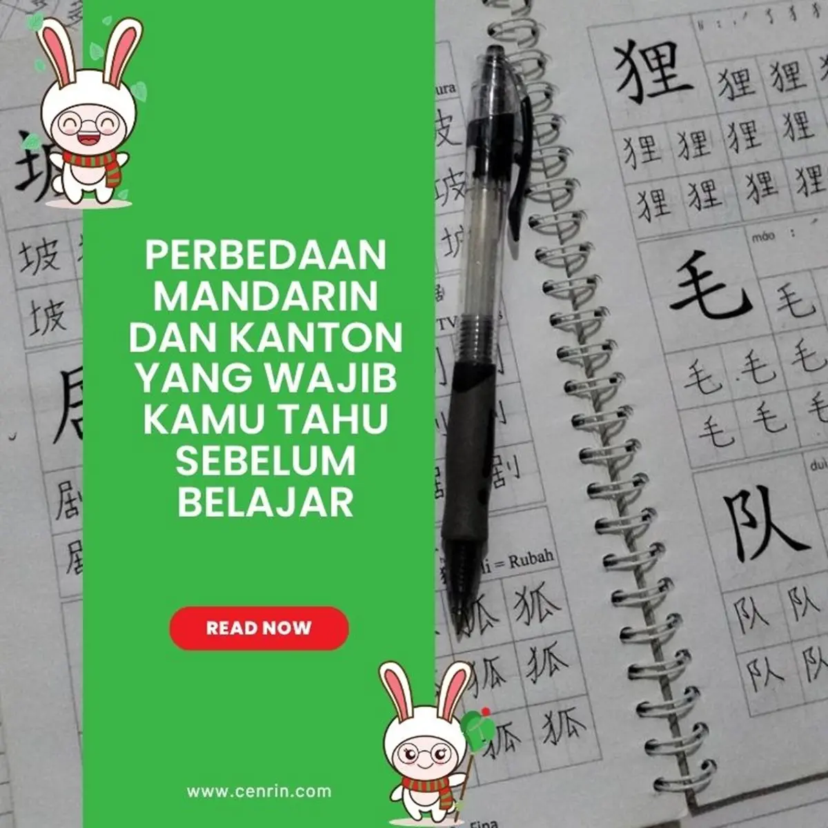 Perbedaan Mandarin dan Kanton yang Wajib Kamu Tahu Sebelum Belajar
