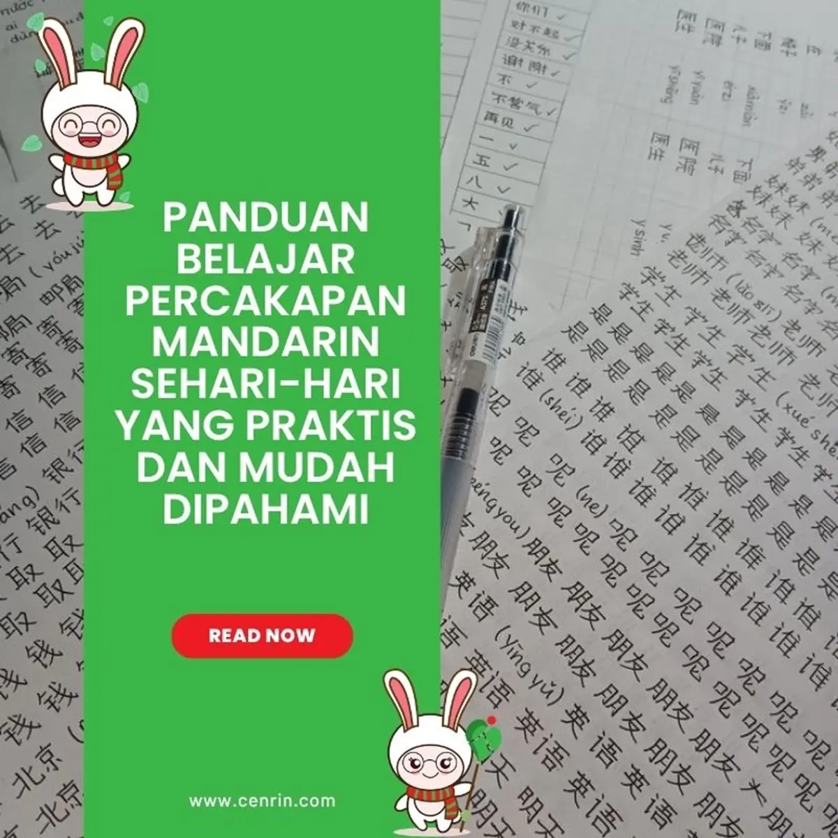 Panduan Belajar Percakapan Mandarin Sehari-hari yang Praktis dan Mudah Dipahami