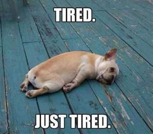 Kalimat Mandarin Saat Kita Sangat Kecapekan