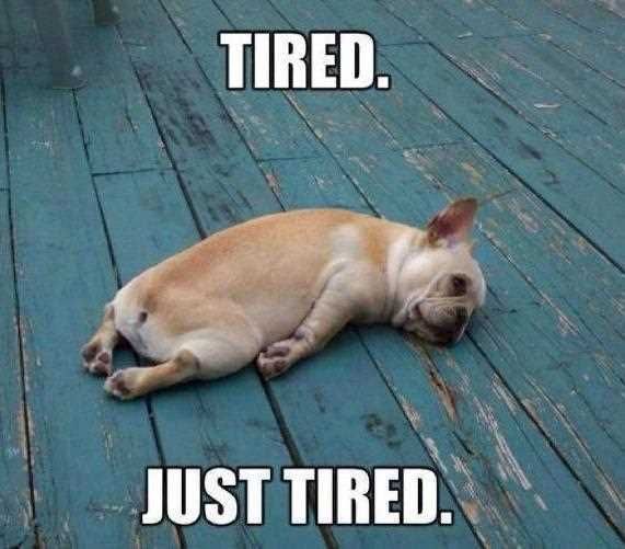 Kalimat Mandarin Saat Kita Sangat Kecapekan