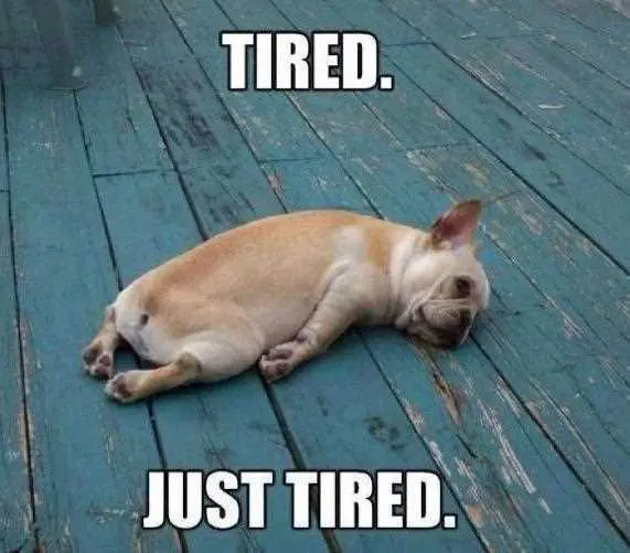 Kalimat Mandarin Saat Kita Sangat Kecapekan