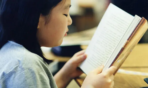 3. Kemampuan Membaca