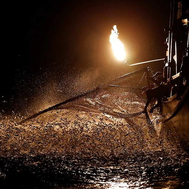 Festival Memancing Api Jinshan