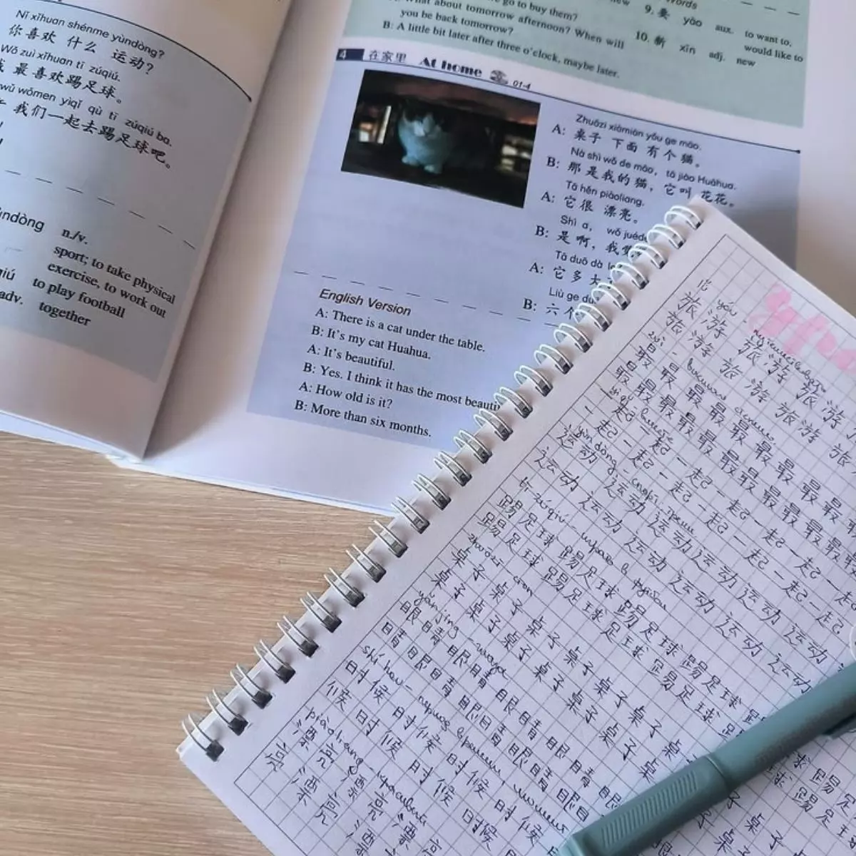 Tips Lulus HSK Level 1–3 untuk Pemula, Strategi Efektif Belajar Mandarin dari Nol